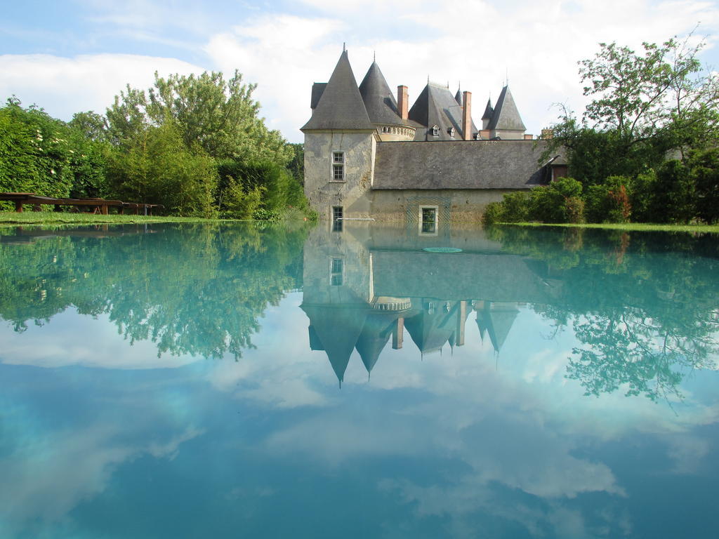 Chateau De Vauloge Fercé-sur-Sarthe Exterior foto