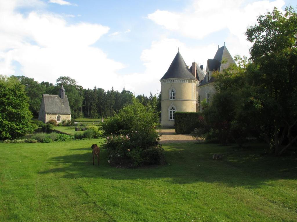 Chateau De Vauloge Fercé-sur-Sarthe Exterior foto